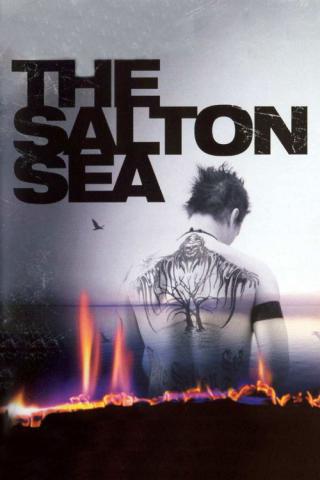 Море Солтона (2002)